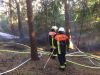 Brand B Wald
